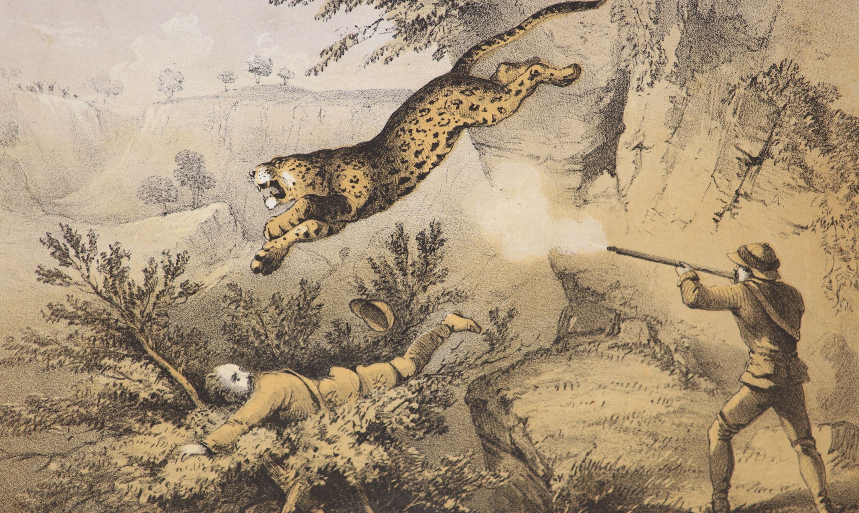 Maj.Gen. - Tiger-Shooting in India: An Account of Hunting Experiences on Foot, 8vo, half calf with marbled boards, with 12 chromolitho plates, Smith, Elder & Co.,London, 1857